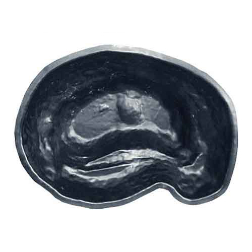 Informal Pond - Macquarie